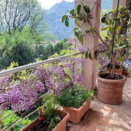 Ecohouse Risan Studio Dış mekan fotoğraf