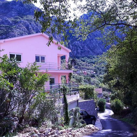 Ecohouse Risan Studio Dış mekan fotoğraf