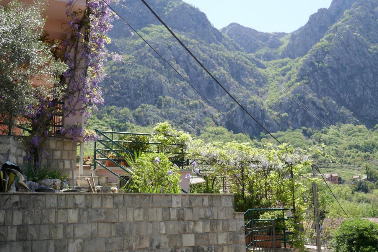 Ecohouse Risan Studio Dış mekan fotoğraf