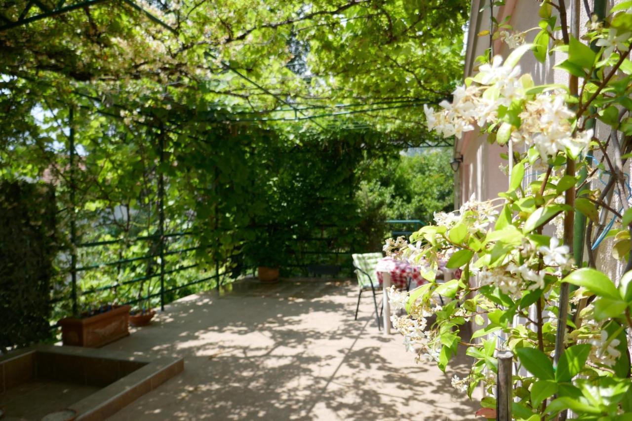Ecohouse Risan Studio Dış mekan fotoğraf