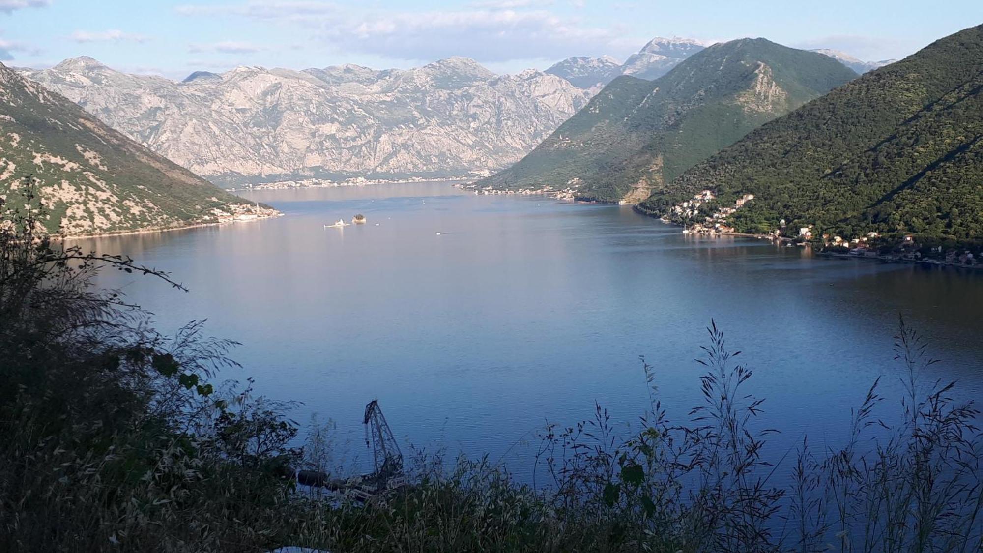 Ecohouse Risan Studio Dış mekan fotoğraf