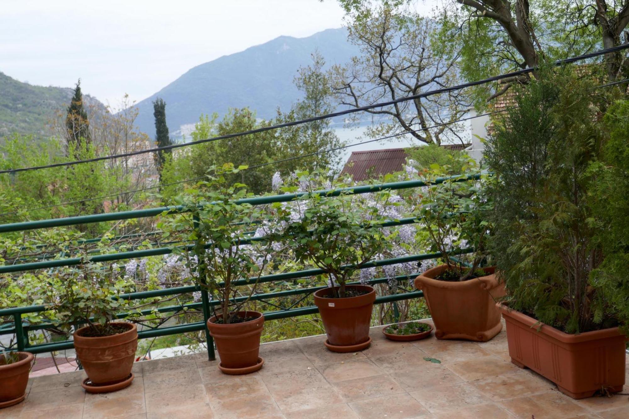 Ecohouse Risan Studio Dış mekan fotoğraf