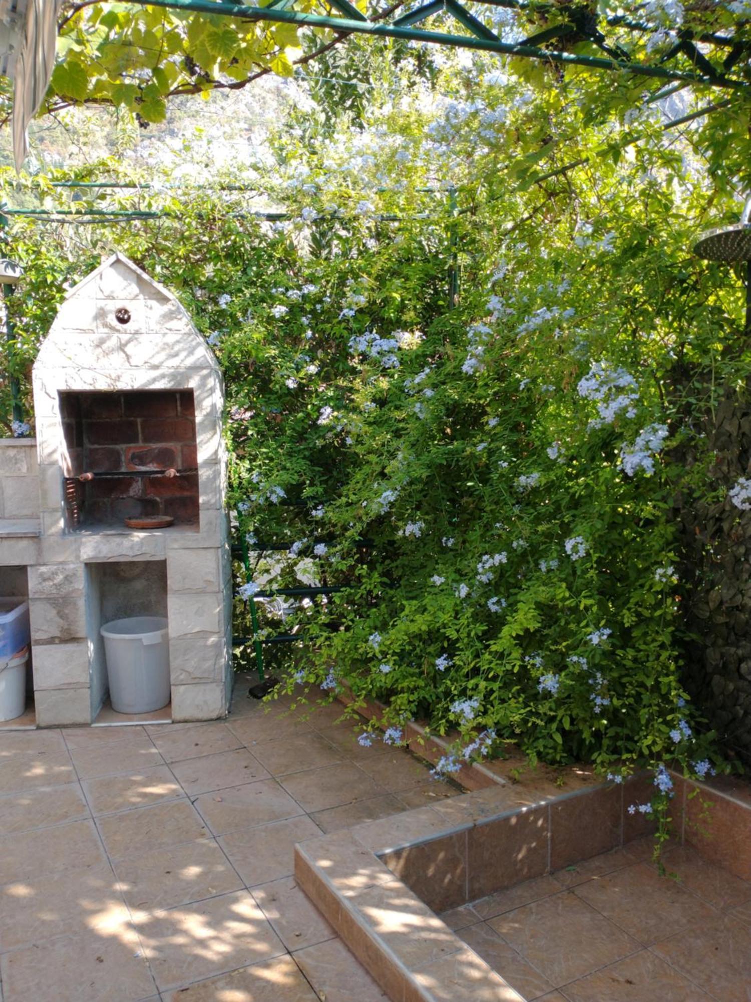 Ecohouse Risan Studio Dış mekan fotoğraf