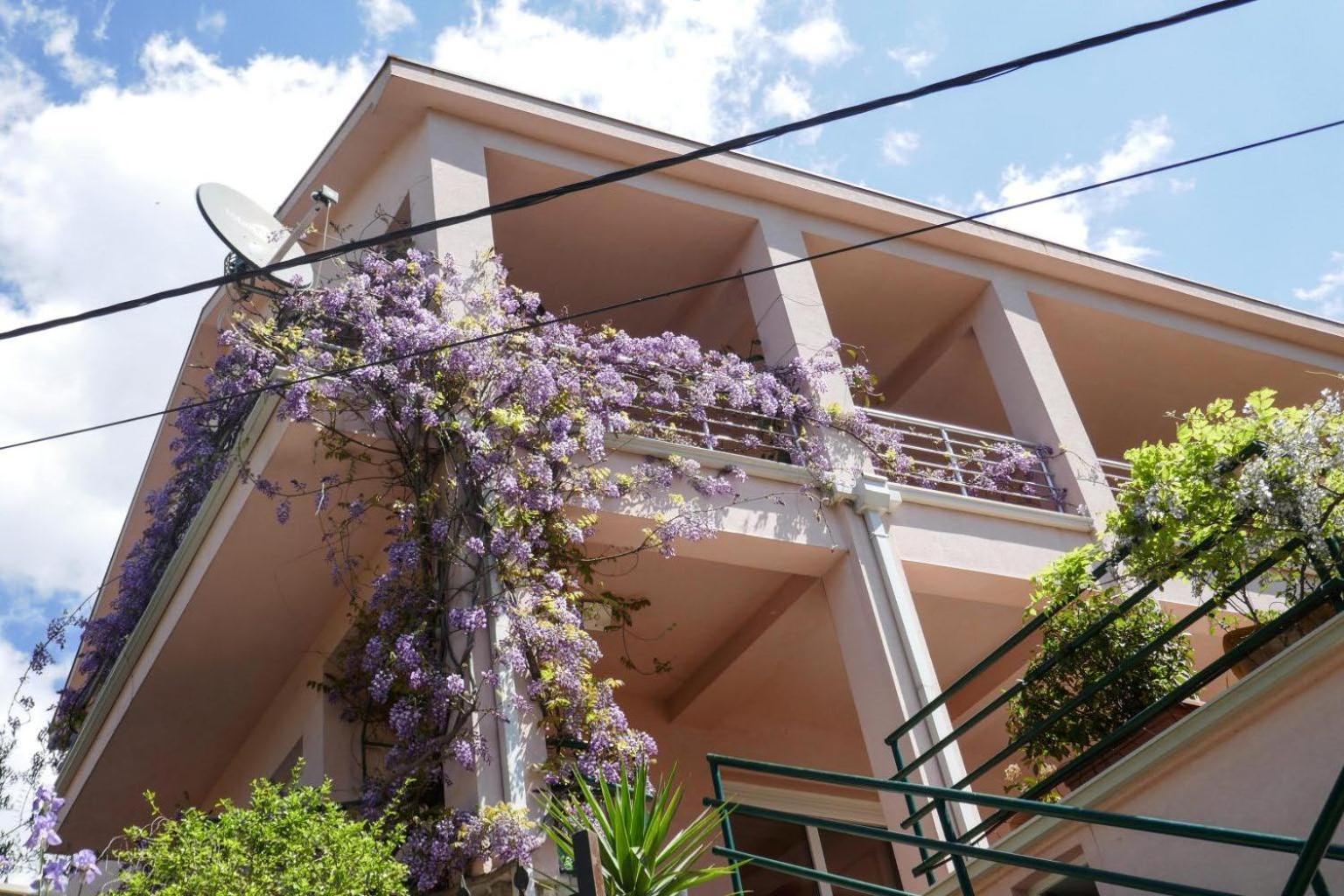Ecohouse Risan Studio Dış mekan fotoğraf
