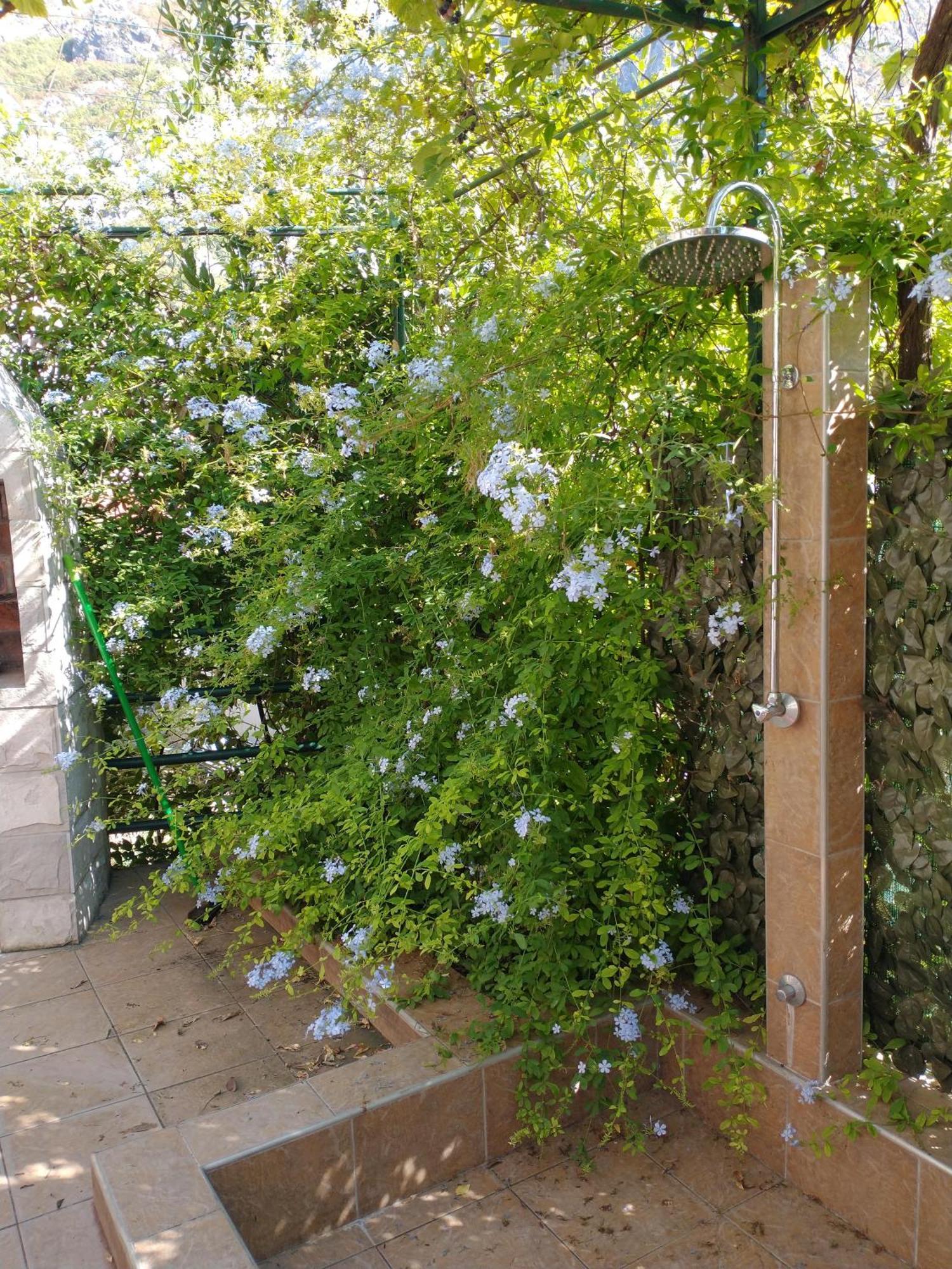 Ecohouse Risan Studio Dış mekan fotoğraf