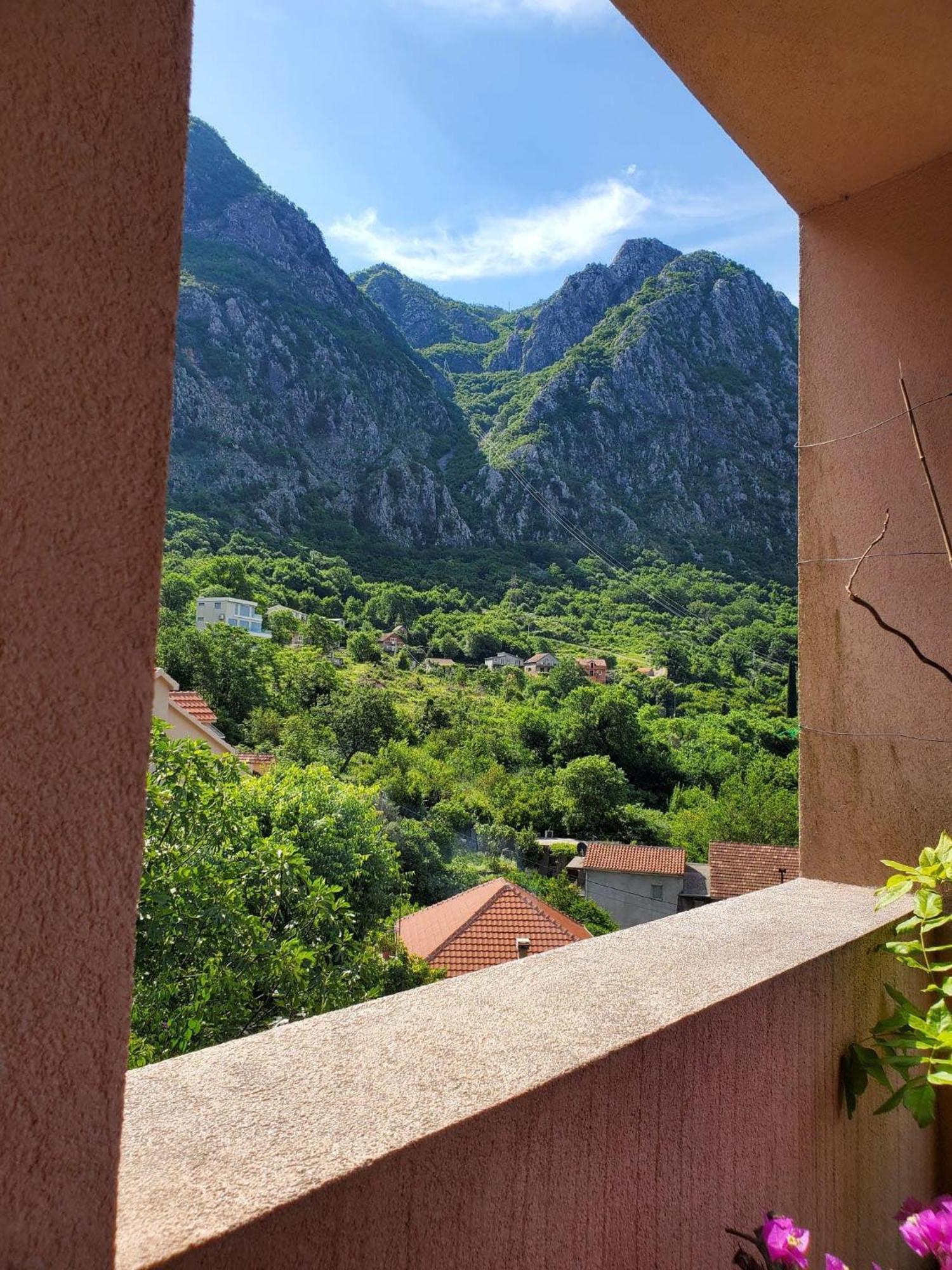 Ecohouse Risan Studio Dış mekan fotoğraf