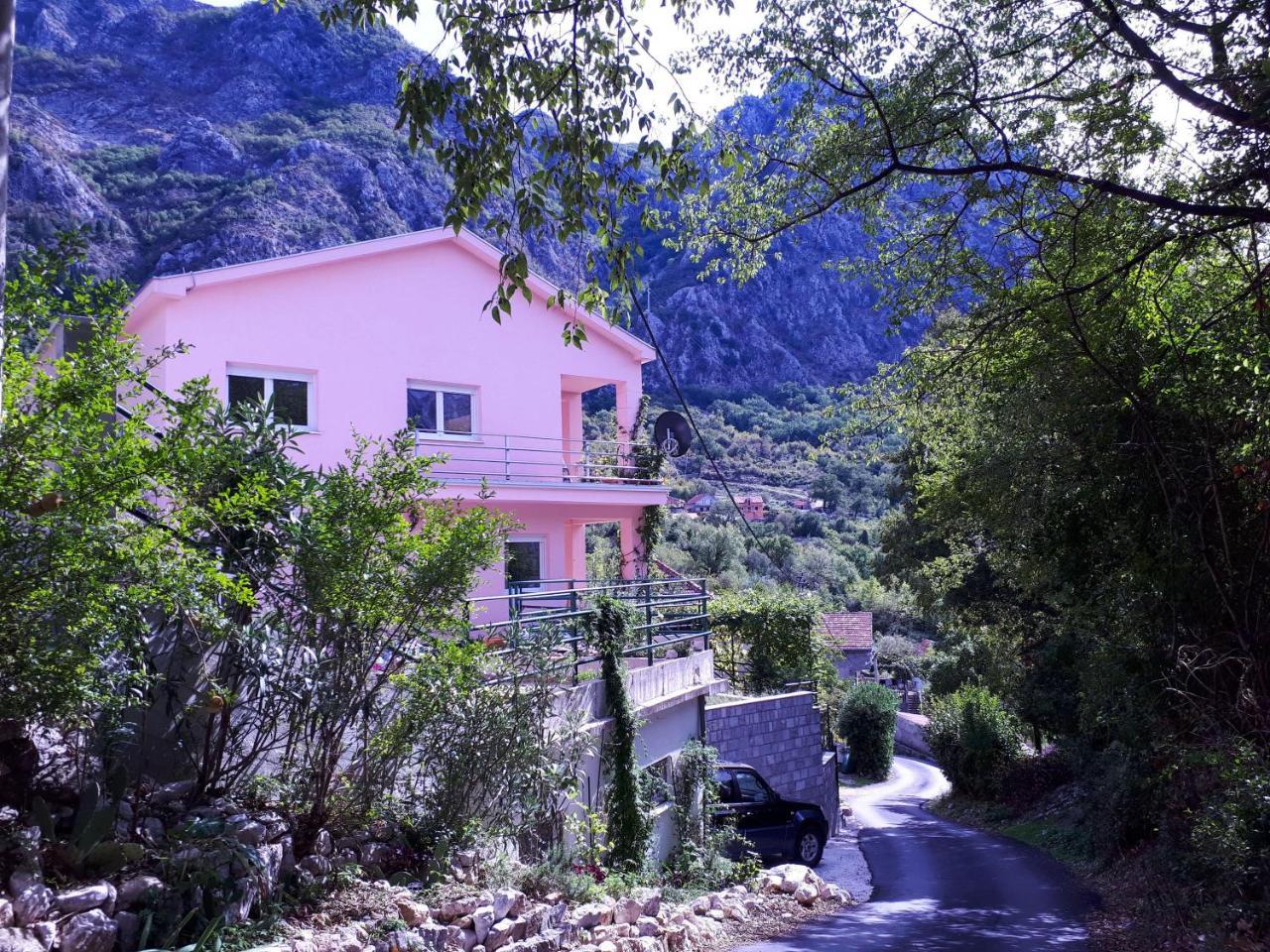 Ecohouse Risan Studio Dış mekan fotoğraf