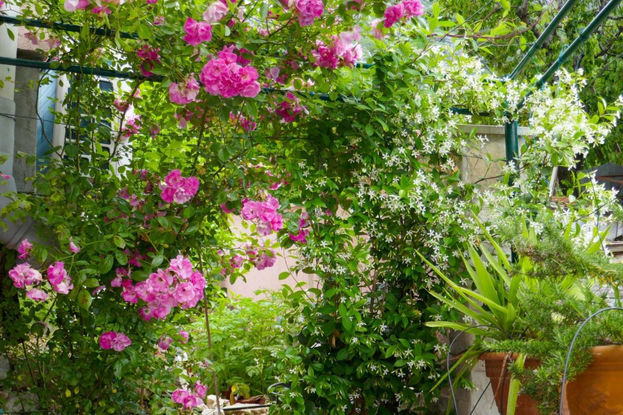 Ecohouse Risan Studio Dış mekan fotoğraf